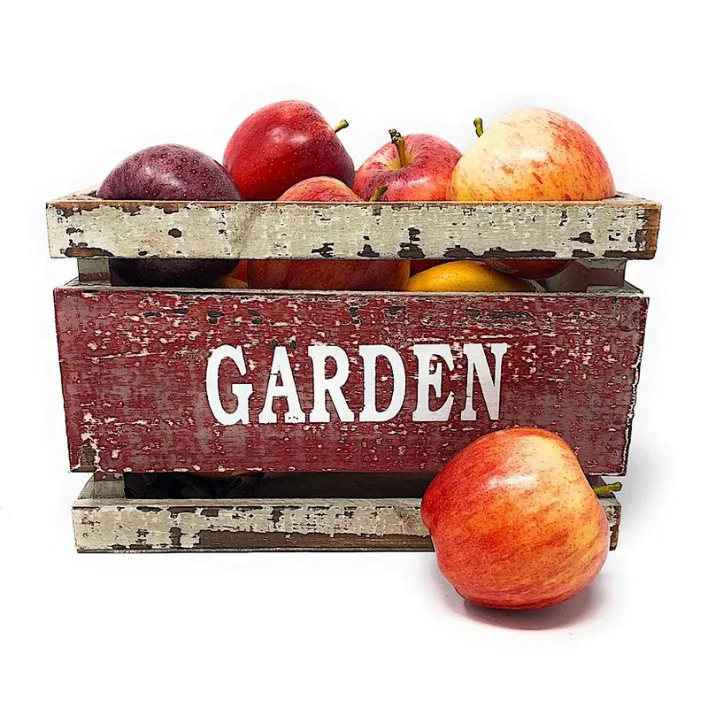 Wooden Crates Fruit Basket Decorative Kitchen Storage Garden Decor by PKD (Set of 3)