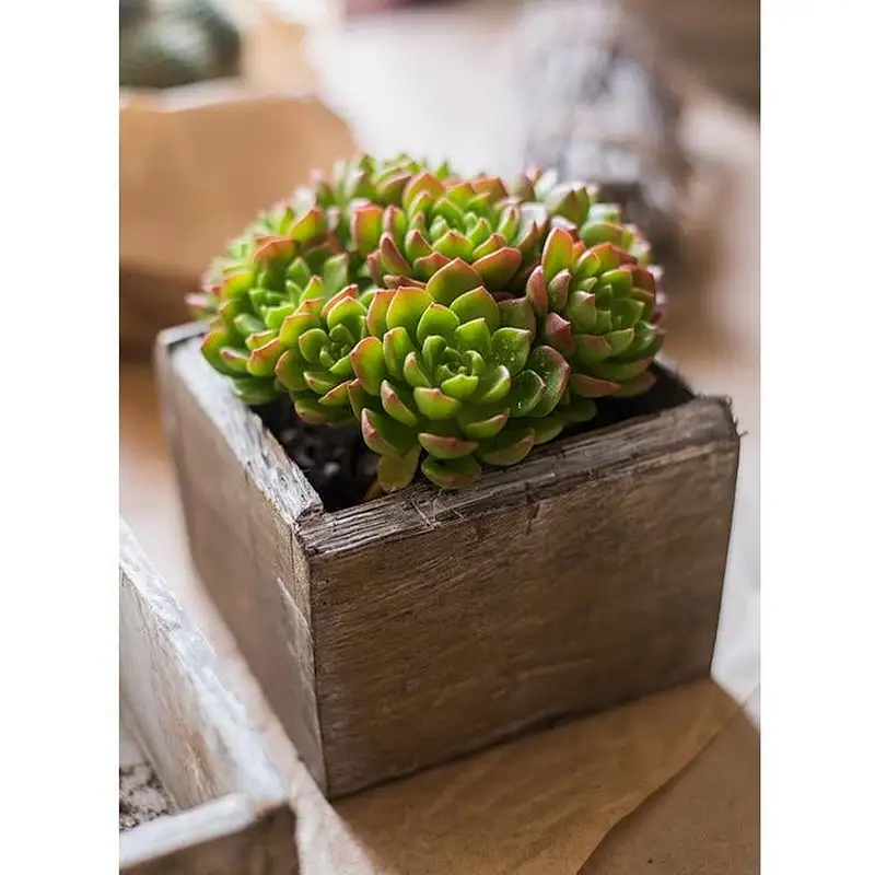 Wood Planter, Decorative Box,  Houseplant Box-RusticReach Four Piece Solid Wood Table Box Set