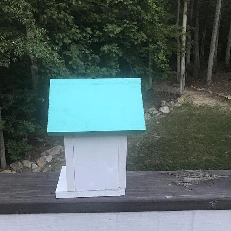 Rural retro style color simplified version of bird house