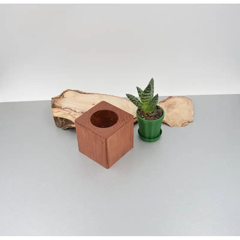 2020 Wooden Succulent  pot Christmas