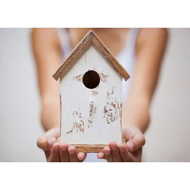 JUNJI Best Bird House Wood New Cedar Wooden Decorative Birdhouse Hanging Nest Rustic