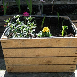 Wooden flower pot customized 2020
