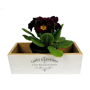 Vintage box Wooden box with graphics Container fo small items  Home decor window box