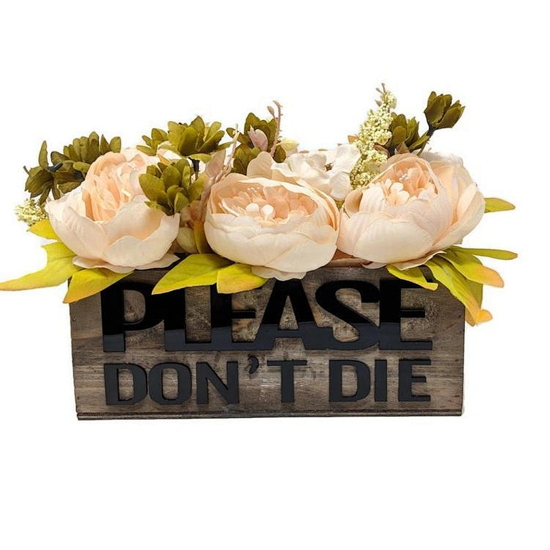 Decorative Box, Wood Planter Box, Funny Planter