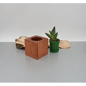 2020 Wooden Succulent  pot Christmas