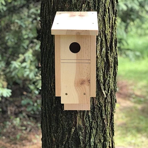 blue bird house nesting box, durable outdoor wooden bird habitat