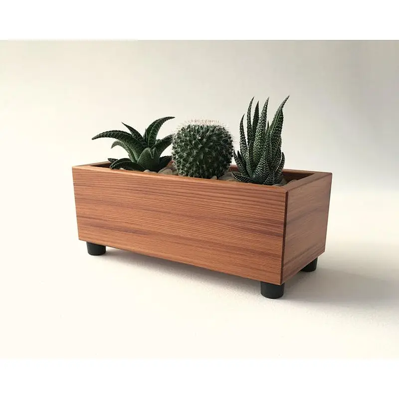Modern Wood Succulent Planter box