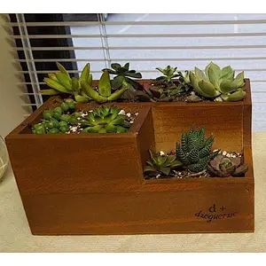 Wooden Succulent Flower Planter Box Desk Organizer Pencil Holder
