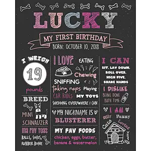 Dog Birthday Chalkboard Sign Puppy Dog  Pet 1st Birthday Chalkboard  Dog First Birthday Poster wood sigh