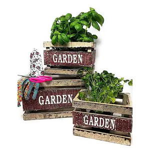 Wooden Crates Fruit Basket Decorative Kitchen Storage Garden Decor by PKD (Set of 3)