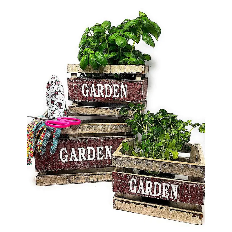 Wooden Crates Fruit Basket Decorative Kitchen Storage Garden Decor by PKD (Set of 3)