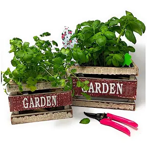 Wooden Crates Fruit Basket Decorative Kitchen Storage Garden Decor by PKD (Set of 3)