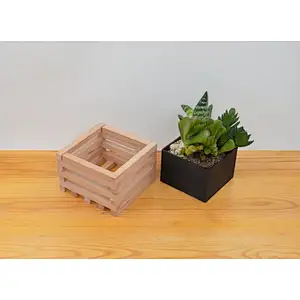 Wooden Succulent pot