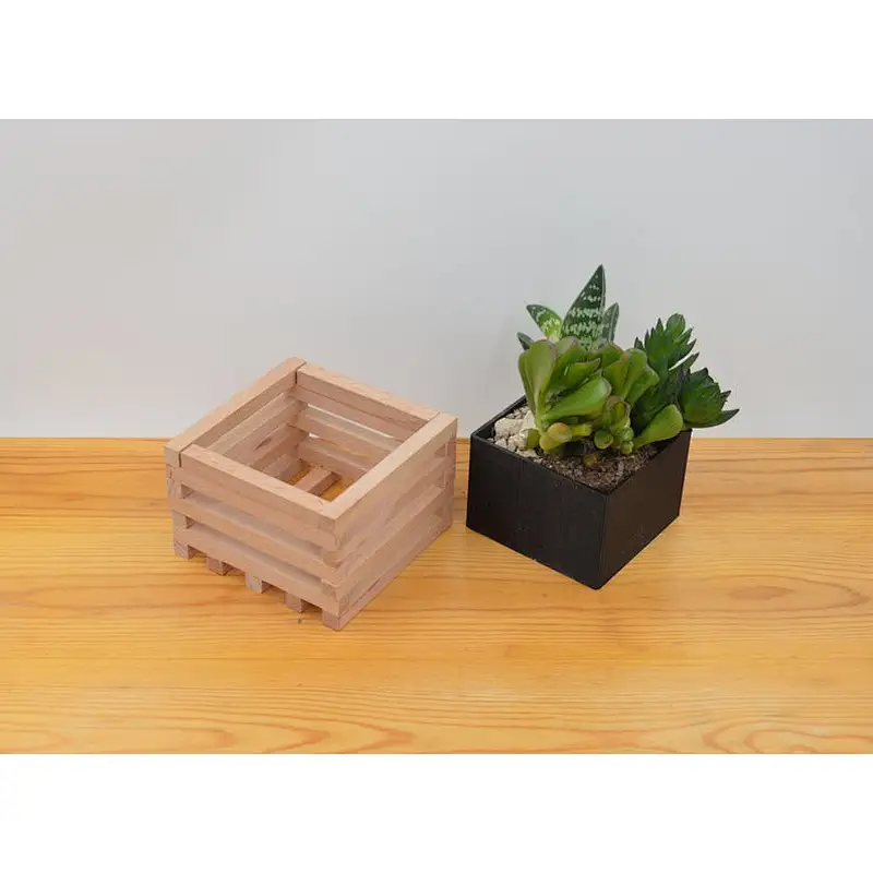 Wooden Succulent pot