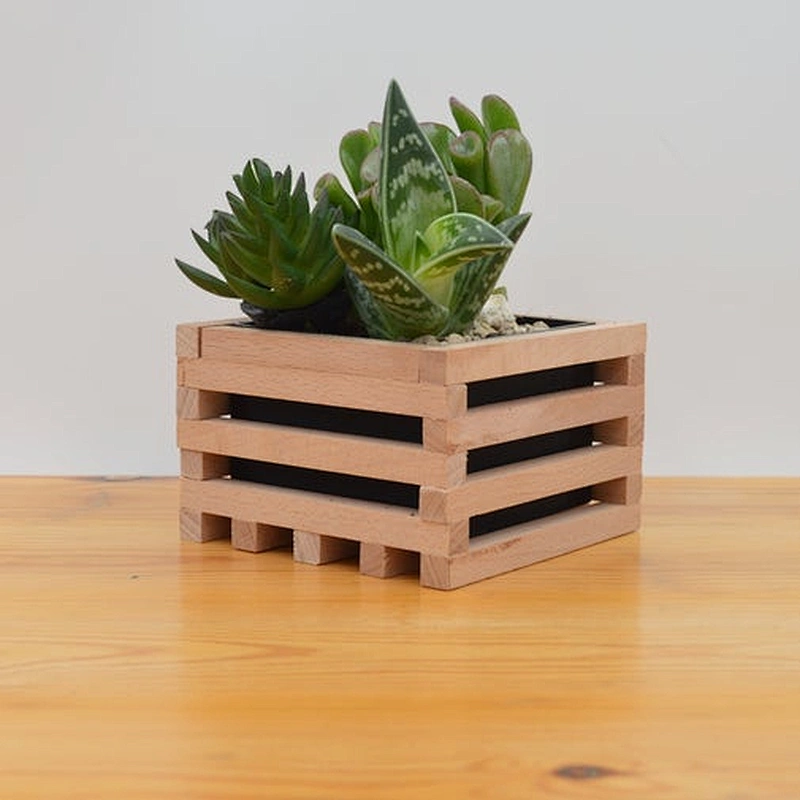 Wooden Succulent pot