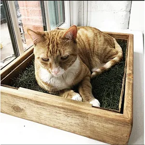 Porch Potty Standard The best grass dog potty on the market Dog Litter Box training LARGE Protective Sleeve - (OAK)