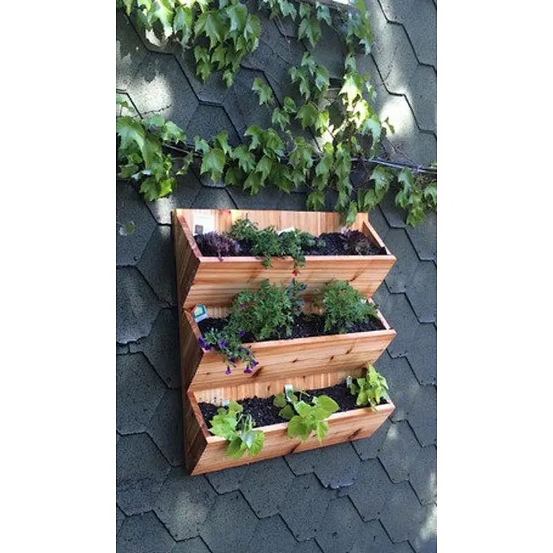 Hanging Flower Pot,