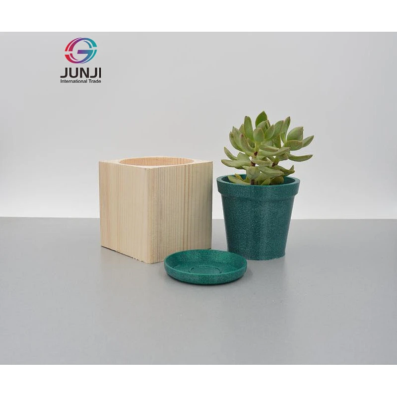 Wood cactus planter Succulent pot wooden planter box wooden flower vase planter with saucer
