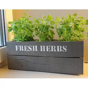 Rustic wooden box for herbscustom wholesale cheaper delicate wood planter boxwood box with ceramic flower flower wood box