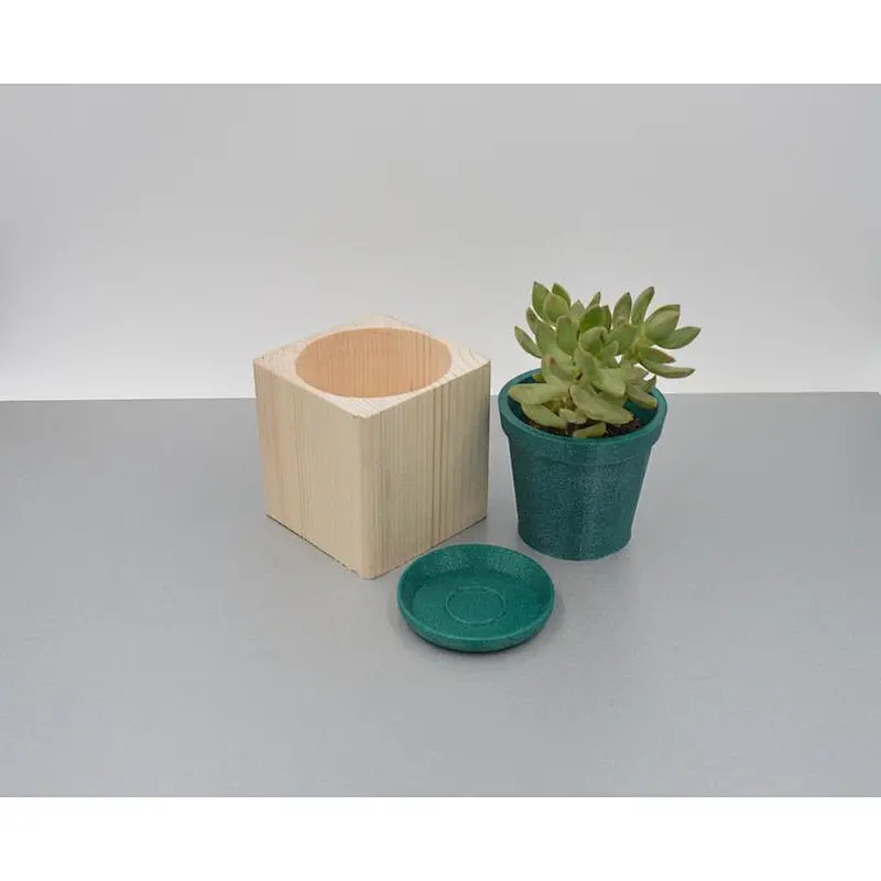 Wood cactus planter Succulent pot wooden planter box wooden flower vase planter with saucer