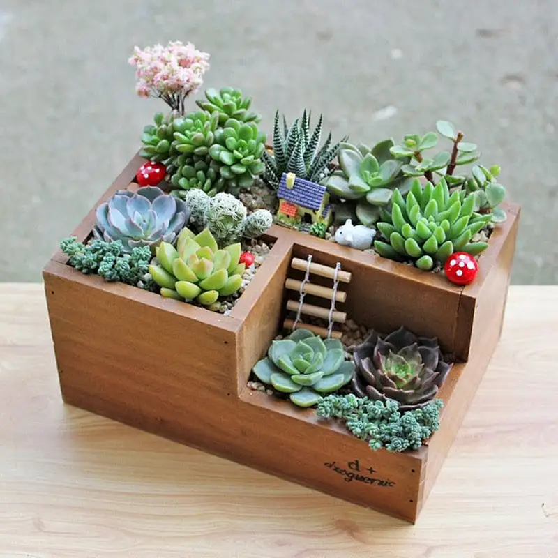 Small Wood Box Pot For Succulent Planter