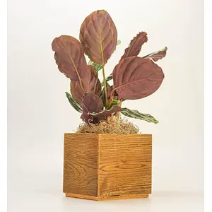 Large Plant Pot Rectangular Planter Rustic Modern Planter Herb Planter