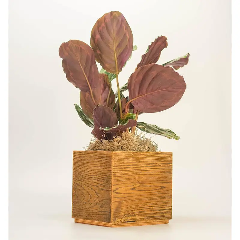 Large Plant Pot Rectangular Planter Rustic Modern Planter Herb Planter