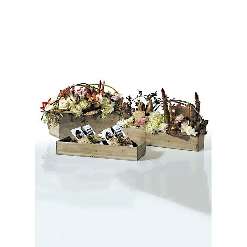 Garden Cup And Saucer Planter Woodland Fir Planter in Natural Color - 18.25