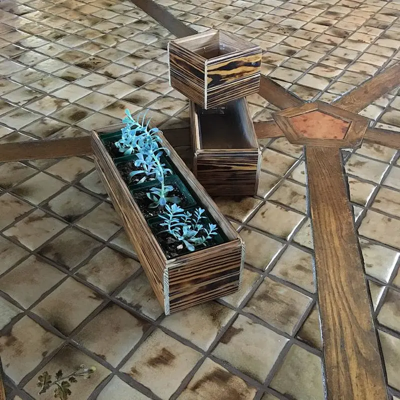 Wood Planter, Decorative Box,  Houseplant Box