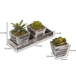 Rustic Style Artificial Succulent Torched Wood Planters Removable Tray, Set of 3