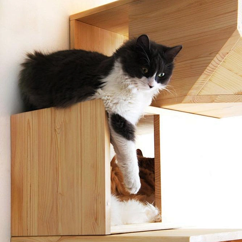 wooden pet house modern pet house stylish cat house cat place cat bed