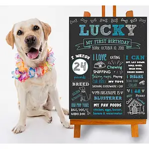 Dog Birthday Chalkboard Sign Puppy Dog  Pet 1st Birthday Chalkboard  Dog First Birthday Poster wood sigh