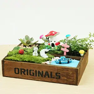 Vintage Style Succulent planter,Cactus planter,   flower box