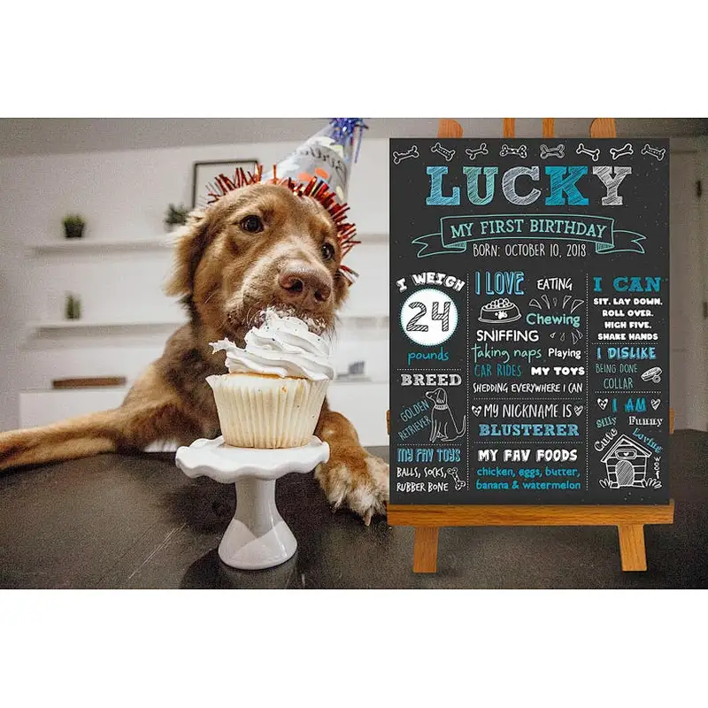Dog Birthday Chalkboard Sign Puppy Dog  Pet 1st Birthday Chalkboard  Dog First Birthday Poster wood sigh