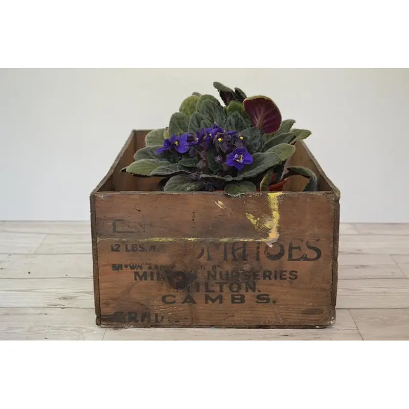 Rustic wholesale antique big  cheaper unfinished home decoration delicate practical Vintage Wood Box Rustic Storage Crate