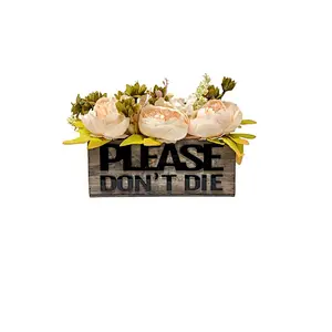 Decorative Box, Wood Planter Box, Funny Planter