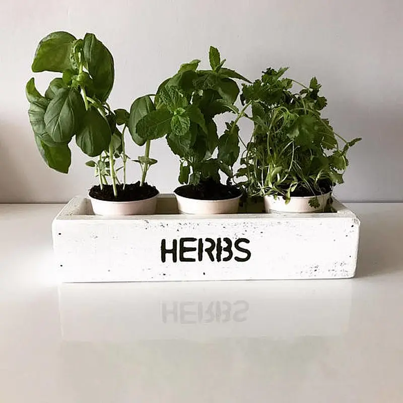 Wooden Flowerpot Succulents 5 Grids Storage Box Balcony Desktop Vintage Holder Planter box