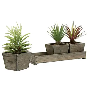 Cottage country edition small boutique planting box
