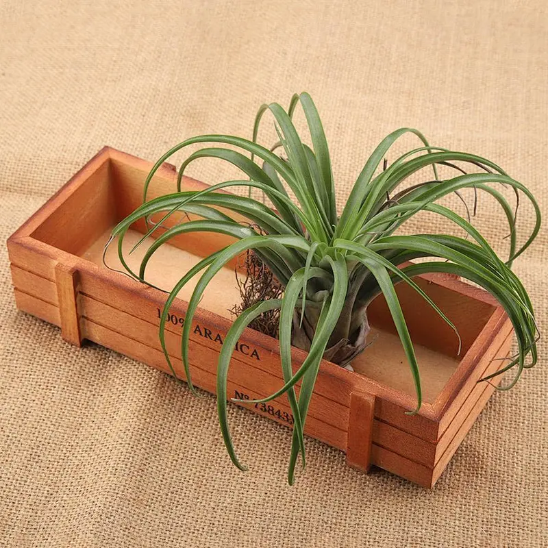 Vintage Wooden Flower Planter