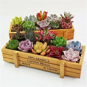 Rectangle Wooden Garden Planter Window Box