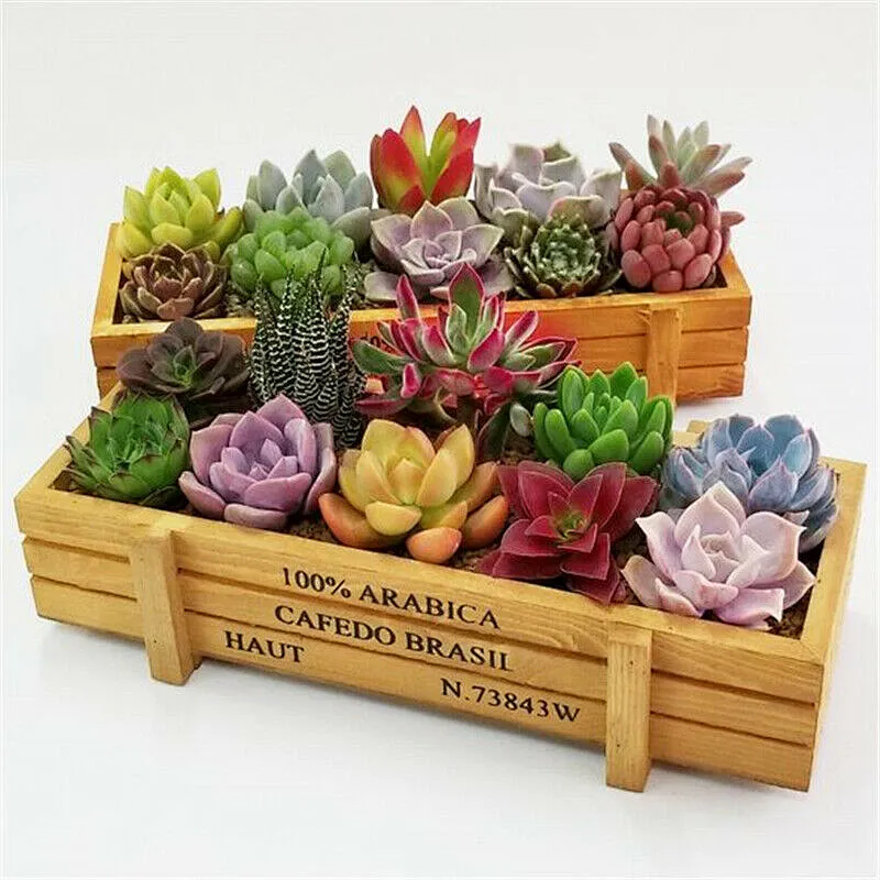 Rectangle Wooden Garden Planter Window Box