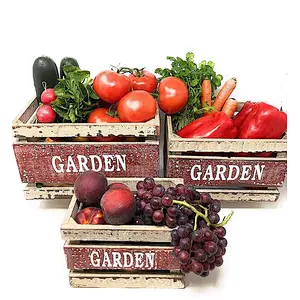 Wooden Crates Fruit Basket Decorative Kitchen Storage Garden Decor by PKD (Set of 3)
