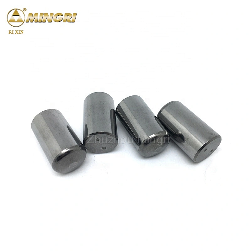 Zhuzhou Manufacturer Cemented Tungsten Carbide Stud Pins for Hpgr Rollers