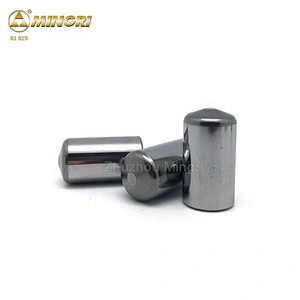 Zhuzhou Manufacturer Cemented Tungsten Carbide Stud Pins for Hpgr Rollers
