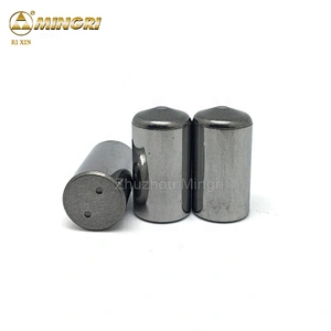 Zhuzhou Manufacturer Cemented Tungsten Carbide Stud Pins for Hpgr Rollers