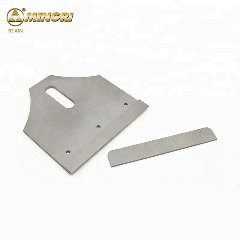 High Quality Widia / Cemented Carbide / Tungsten Carbide Blade Tips for Conveyor Belt Cleaner