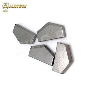 hammer drill bit sds-plus Tungsten carbide two heads tips