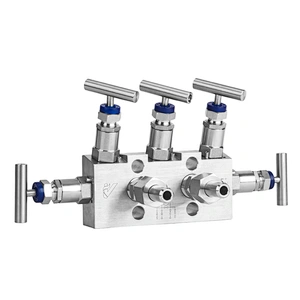 Manifold