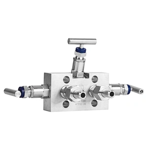 Manifold