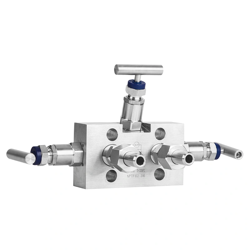 Manifold